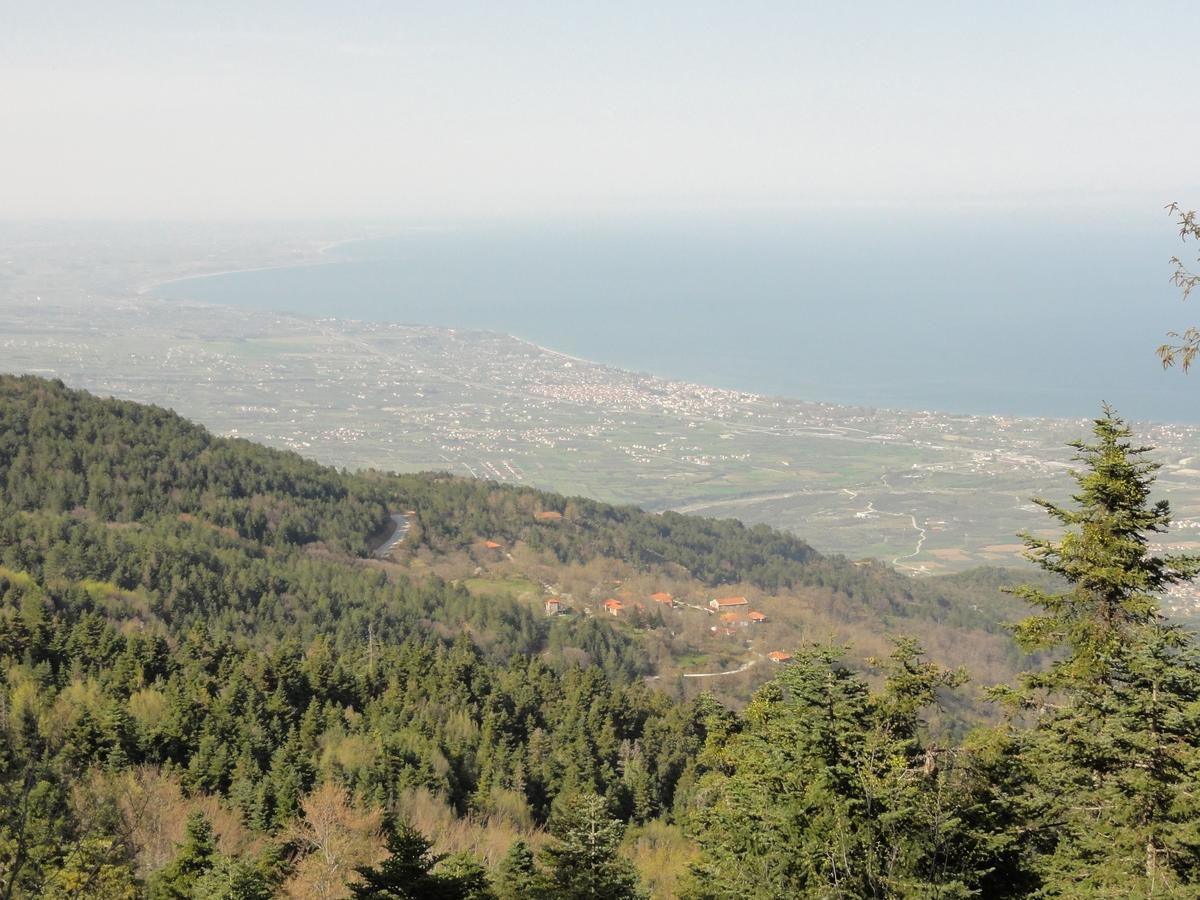 Sintrivanis Mountain Ano Skotina Eksteriør bilde